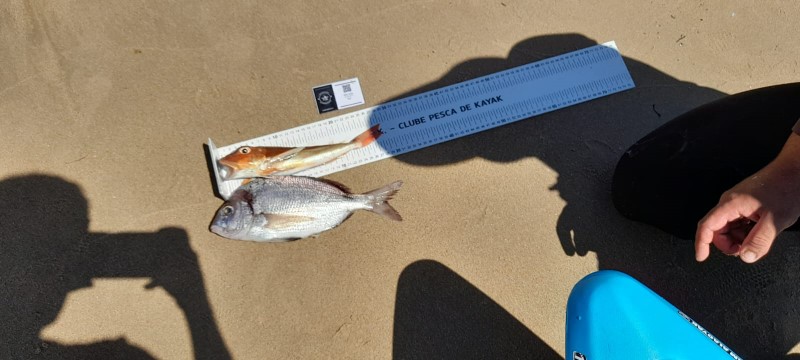 Fish Measure Picture